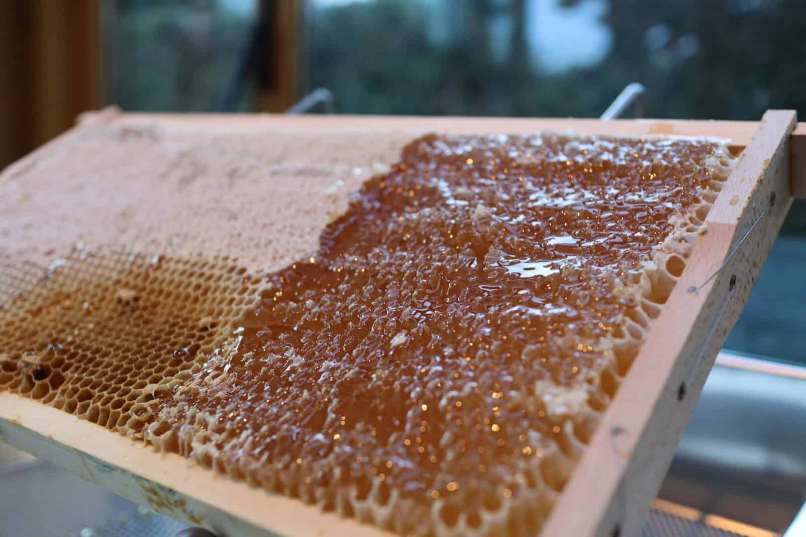 Honig in Zellen